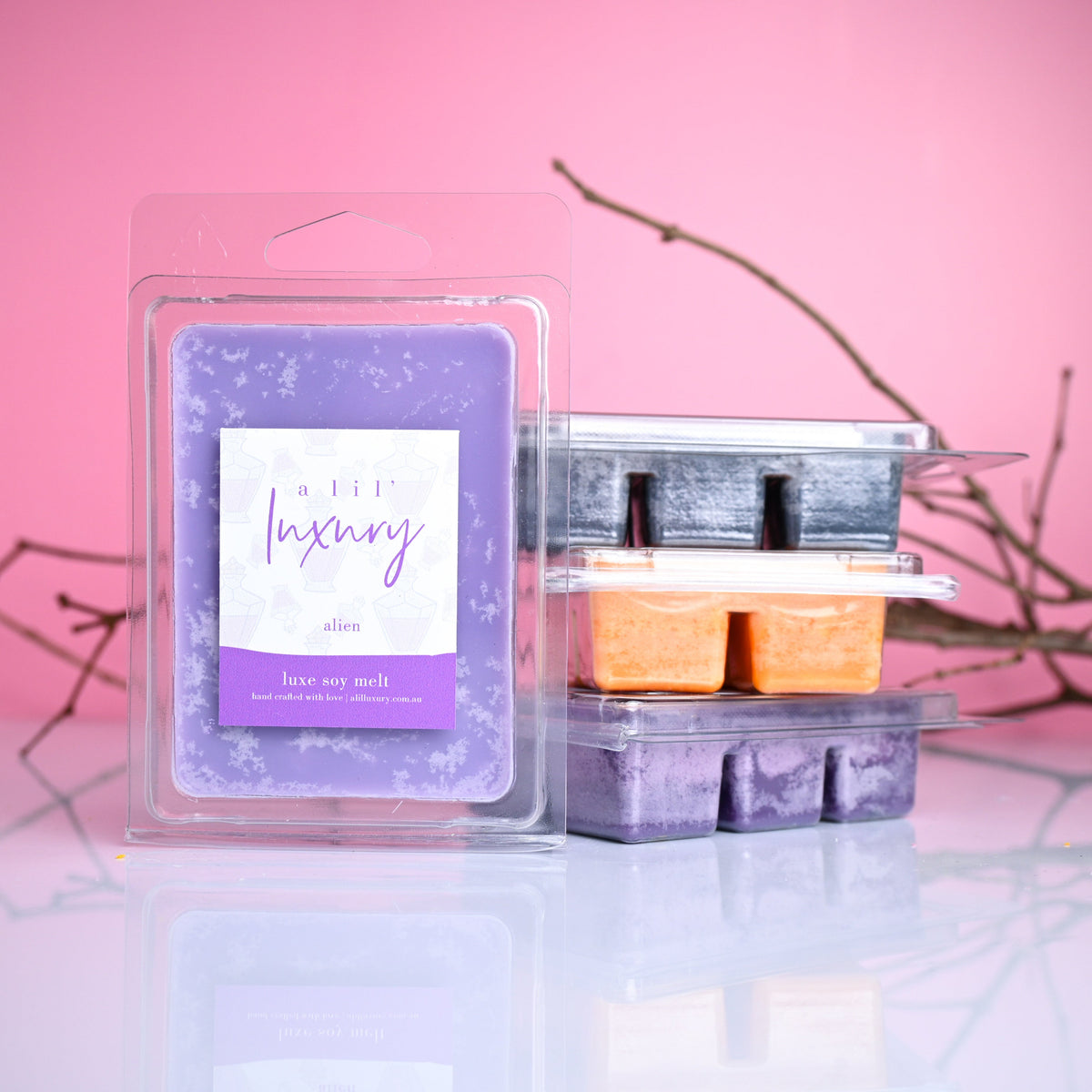 Halloween Soy Wax Melt Clam