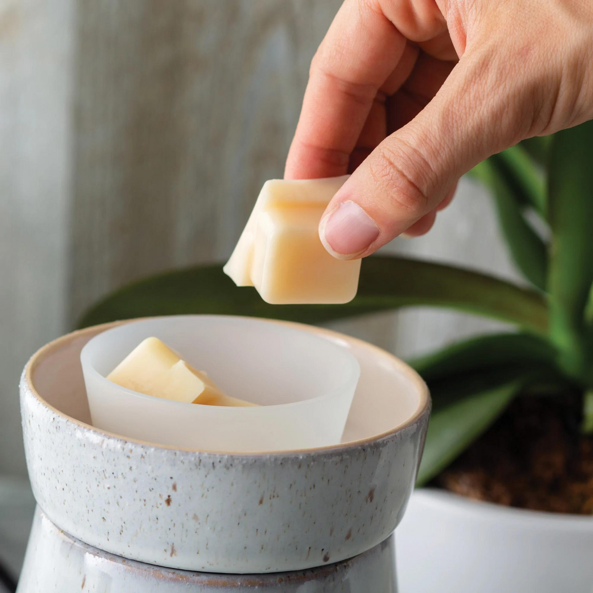 Large Melt Warmer Flip Dish - A Lil Luxury