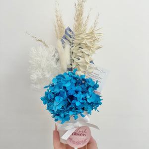 White and Blue Potted Dried Flowers - A Lil Luxury