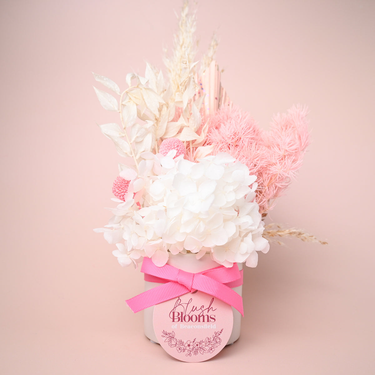 Mini Dried Pot Arrangement