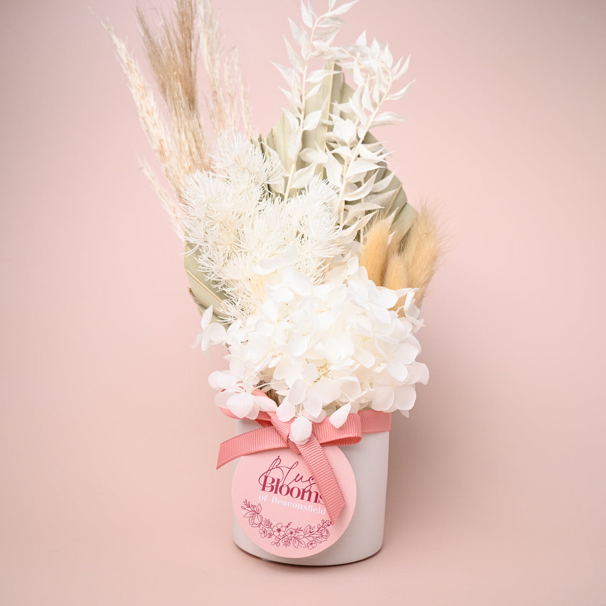 Mini Dried Pot Arrangement