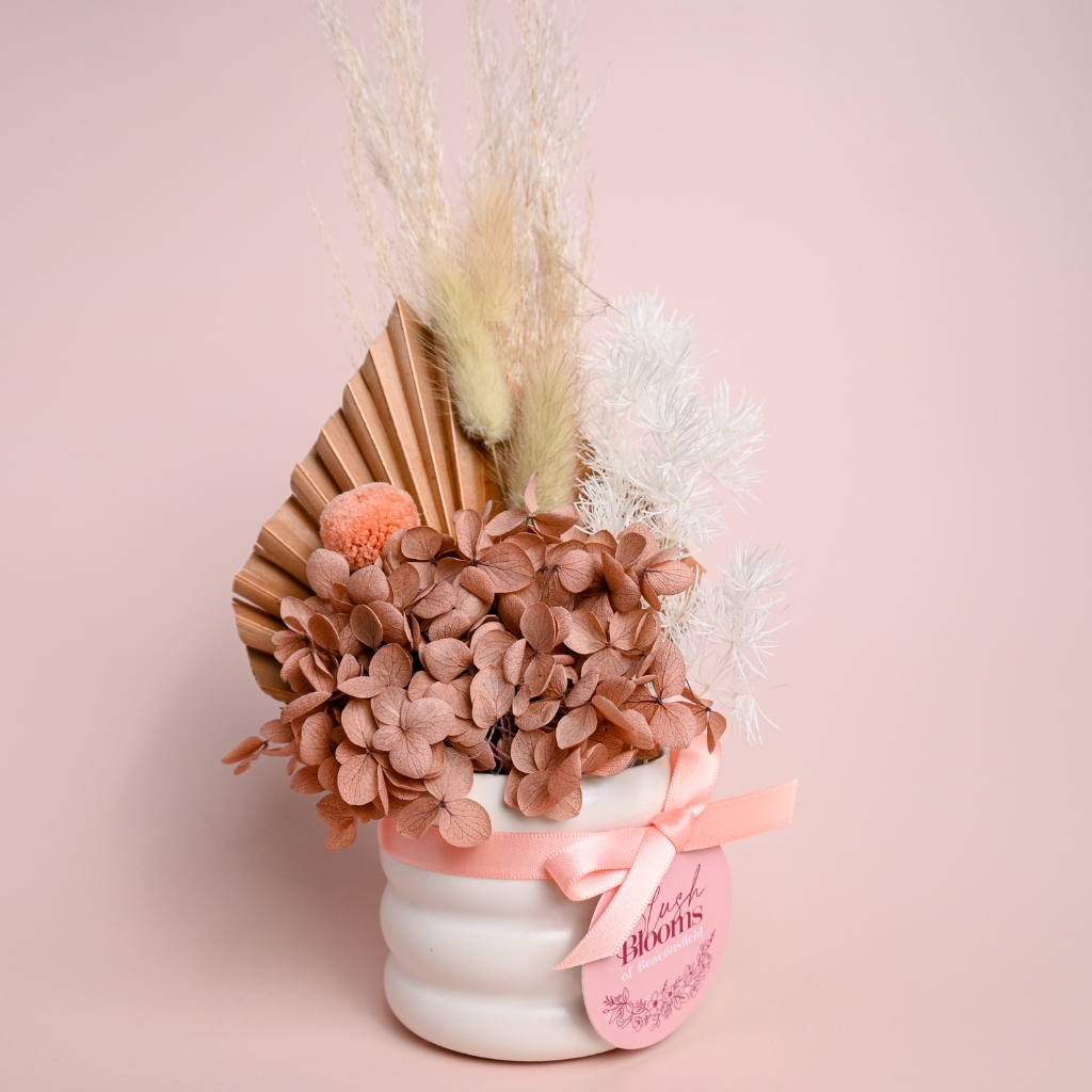 Mini Dried Pot Arrangement