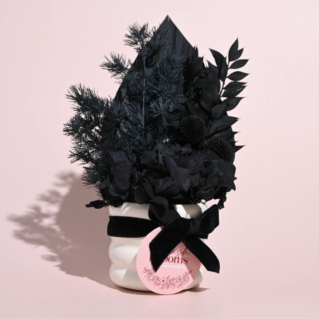 Mini Dried Pot Arrangement