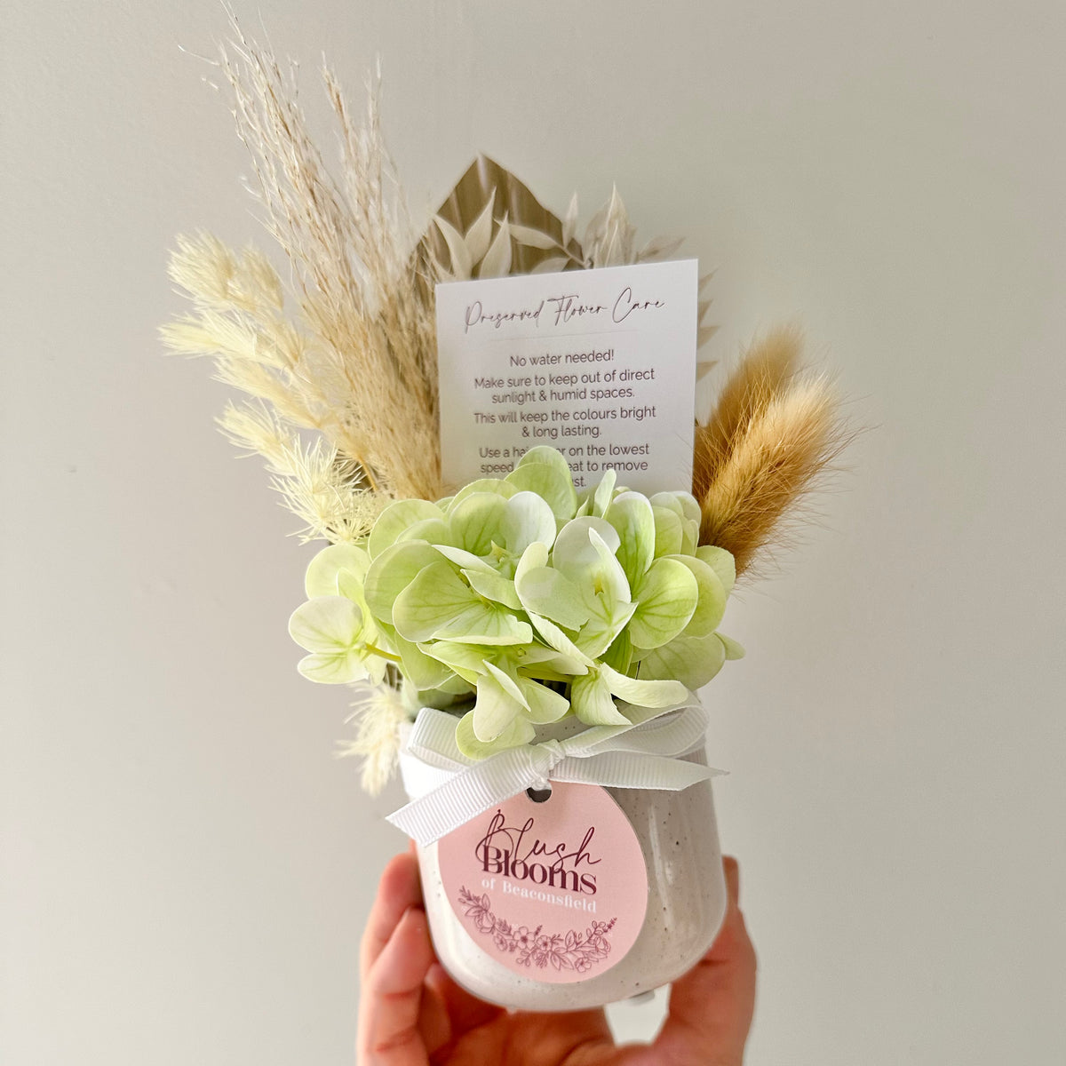 Mini Dried Pot Arrangement