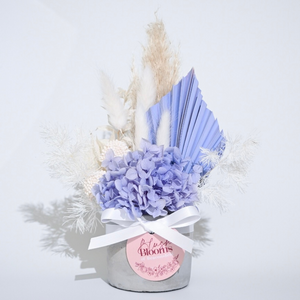 White and Blue Potted Dried Flowers - A Lil Luxury