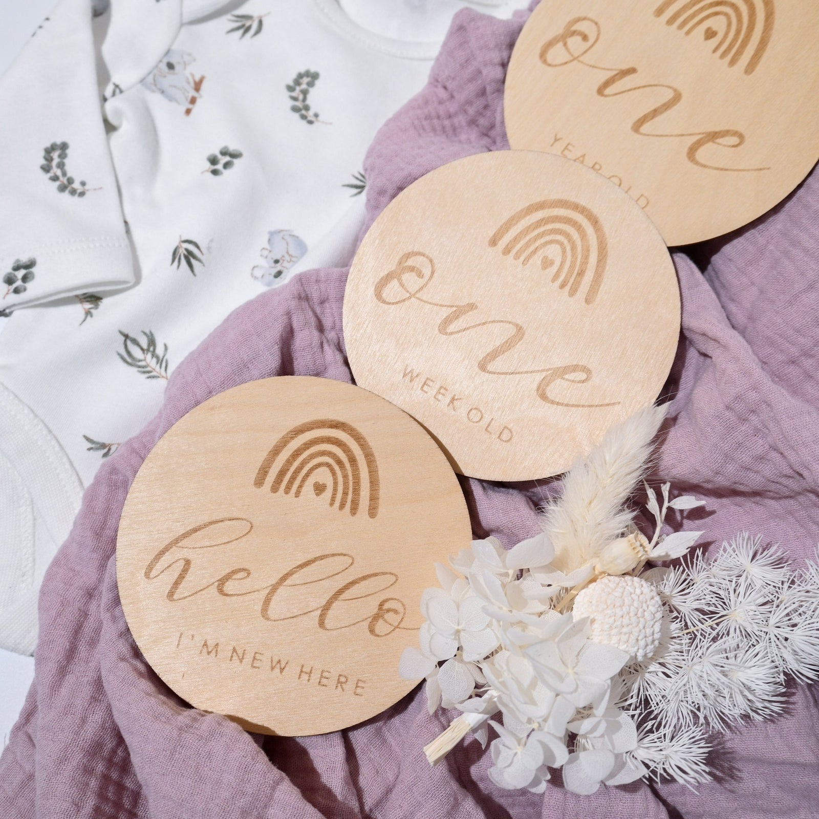 Baby Milestone Discs | Rainbow