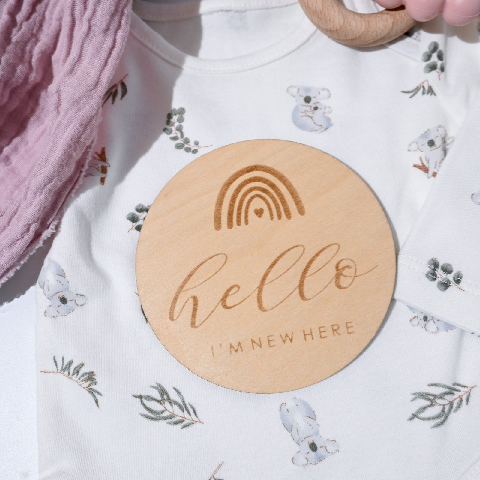 Baby Milestone Discs | Rainbow