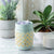mint electric melt warmer