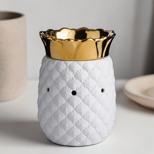 Pineapple Melt Warmer