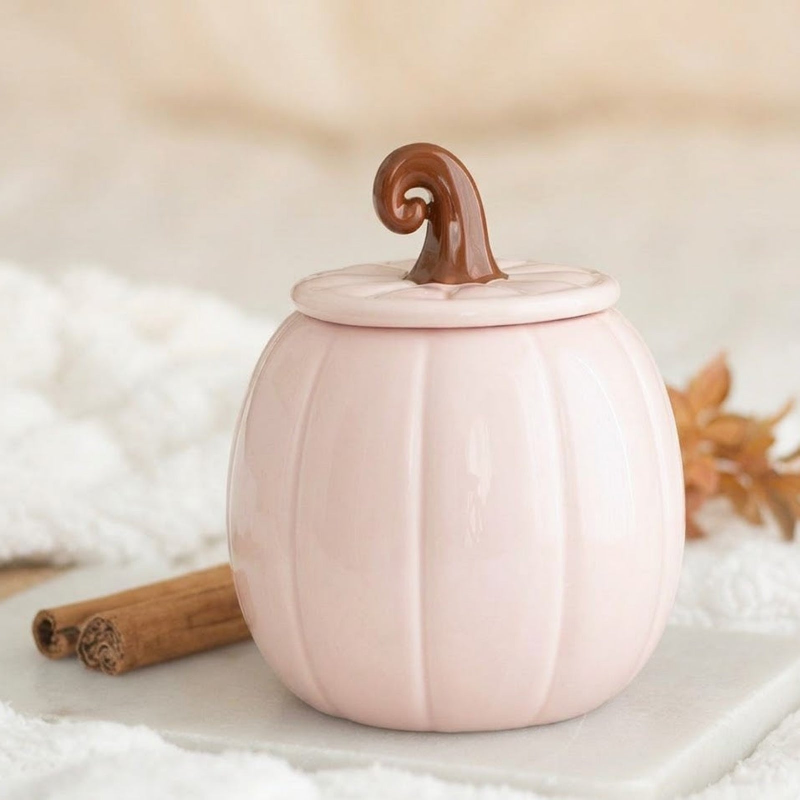 Pink Curly Pumpkin Tealight Warmer