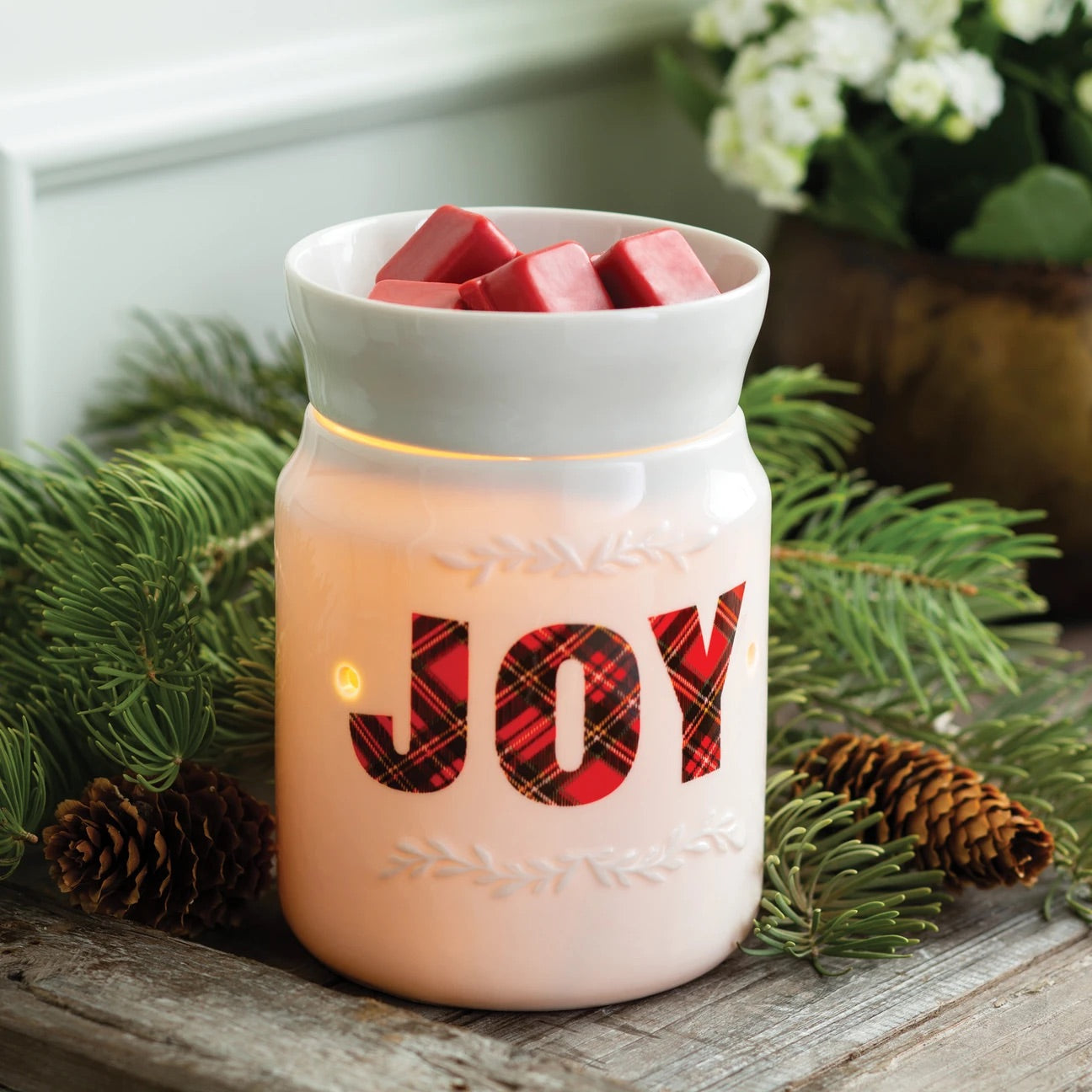 Joy Electric Wax Warmer