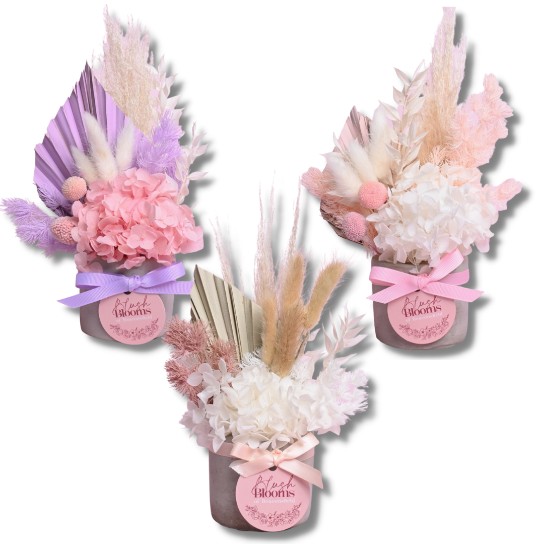 mini dried flowers - a lil luxury
